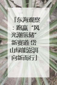 东海观察：跑赢“风光潮氢储”新赛道 岱山绿能澎湃向新而行