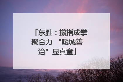 东胜：攥指成拳聚合力 “暖城善治”显真章