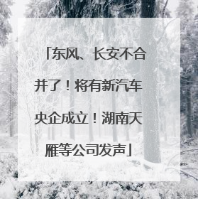 东风、长安不合并了！将有新汽车央企成立！湖南天雁等公司发声