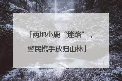 两地小鹿“迷路”，警民携手放归山林