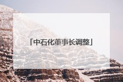 中石化董事长调整