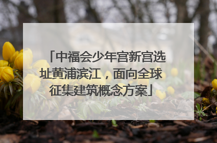 中福会少年宫新宫选址黄浦滨江，面向全球征集建筑概念方案