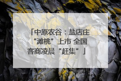 中原农谷：盐店庄“滩桃”上市 全国客商凌晨“赶集”