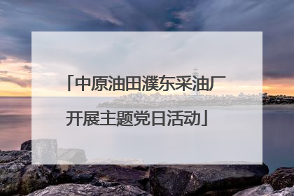 中原油田濮东采油厂开展主题党日活动