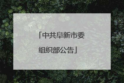 中共阜新市委组织部公告