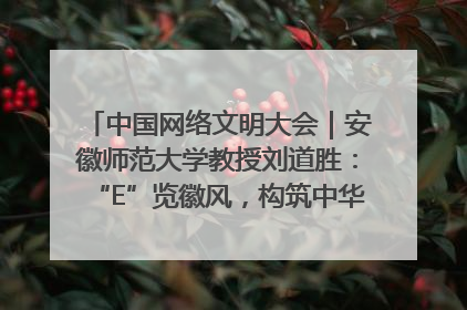 中国网络文明大会｜安徽师范大学教授刘道胜：“E”览徽风，构筑中华民族共有精神家园