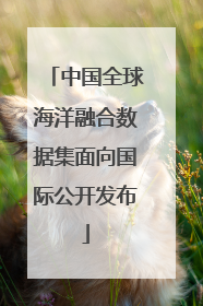 中国全球海洋融合数据集面向国际公开发布