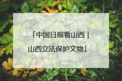 中国日报看山西｜山西立法保护文物