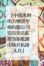 中国水利电力物资华南有限公司党员突击队勇当新能源市场开拓排头兵