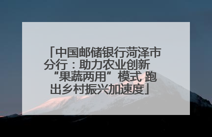 中国邮储银行菏泽市分行：助力农业创新 “果蔬两用”模式 跑出乡村振兴加速度