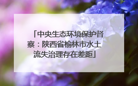 中央生态环境保护督察：陕西省榆林市水土流失治理存在差距