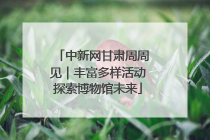 中新网甘肃周周见｜丰富多样活动探索博物馆未来
