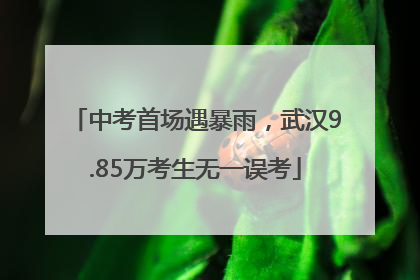 中考首场遇暴雨，武汉9.85万考生无一误考