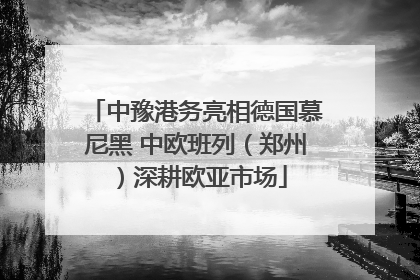 中豫港务亮相德国慕尼黑 中欧班列（郑州）深耕欧亚市场