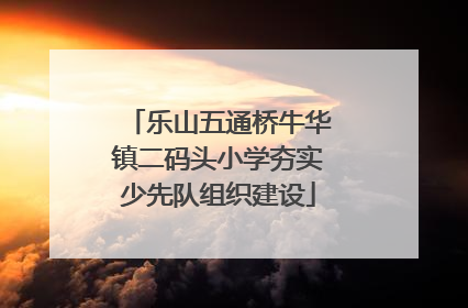乐山五通桥牛华镇二码头小学夯实少先队组织建设
