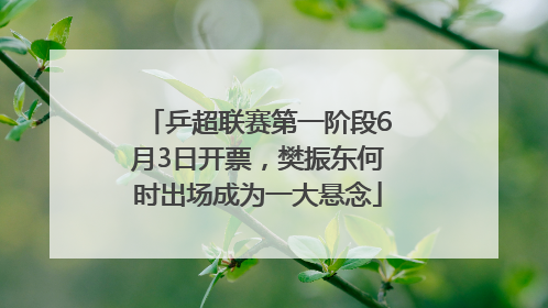 乒超联赛第一阶段6月3日开票，樊振东何时出场成为一大悬念