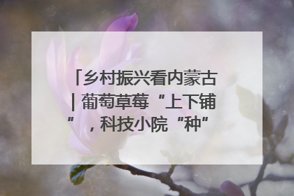 乡村振兴看内蒙古｜葡萄草莓“上下铺”，科技小院“种”出三倍效益