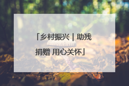 乡村振兴｜助残捐赠 用心关怀