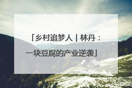 乡村追梦人｜林丹：一块豆腐的产业逆袭