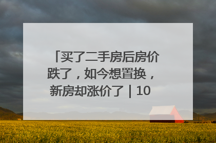 买了二手房后房价跌了，如今想置换，新房却涨价了｜100个买房故事