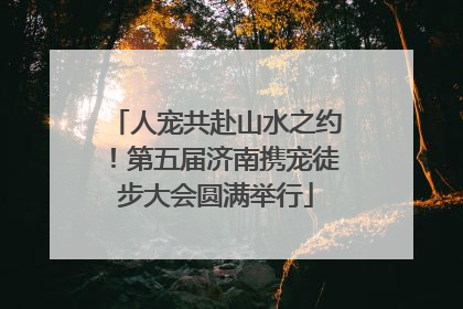 人宠共赴山水之约！第五届济南携宠徒步大会圆满举行