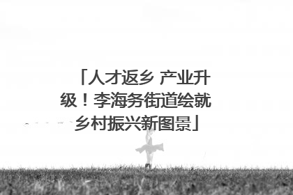 人才返乡 产业升级！李海务街道绘就乡村振兴新图景