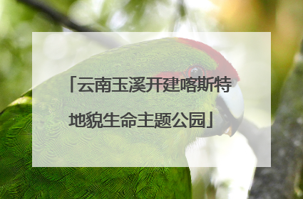云南玉溪开建喀斯特地貌生命主题公园