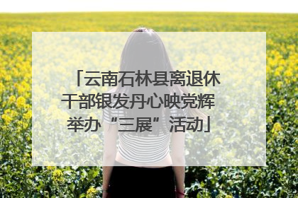 云南石林县离退休干部银发丹心映党辉举办“三展”活动