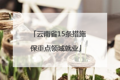 云南省15条措施保重点领域就业