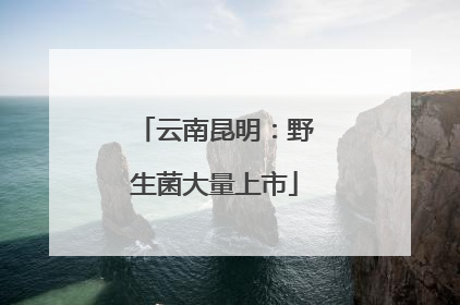 云南昆明：野生菌大量上市