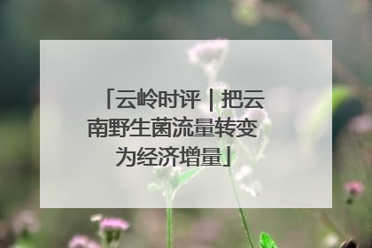 云岭时评｜把云南野生菌流量转变为经济增量