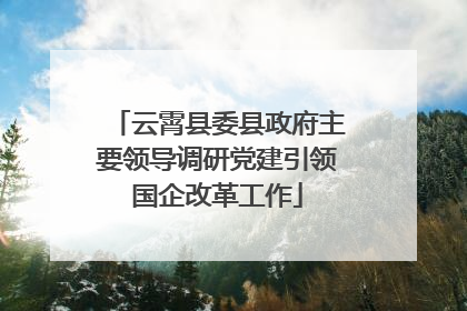 云霄县委县政府主要领导调研党建引领国企改革工作
