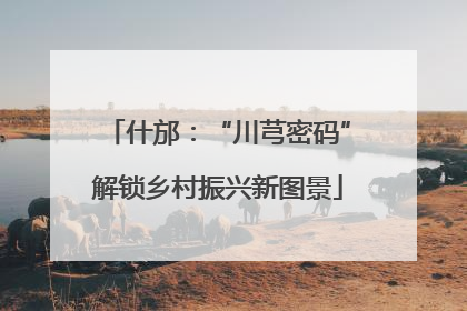 什邡：“川芎密码”解锁乡村振兴新图景