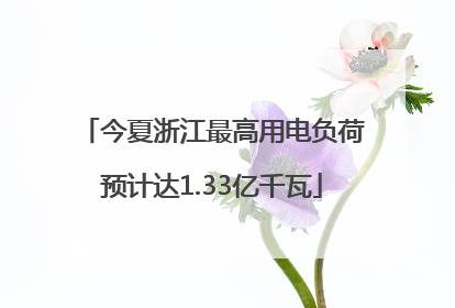 今夏浙江最高用电负荷预计达1.33亿千瓦