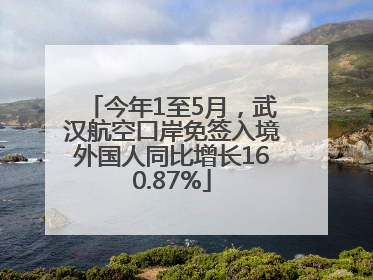 今年1至5月，武汉航空口岸免签入境外国人同比增长160.87%