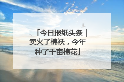 今日报纸头条｜卖火了棉袄，今年种了千亩棉花
