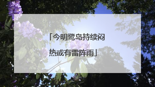 今明鹭岛持续闷热或有雷阵雨