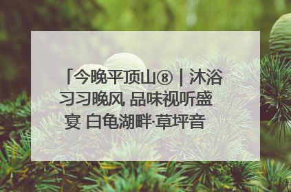 今晚平顶山⑧｜沐浴习习晚风 品味视听盛宴 白龟湖畔·草坪音乐会激情上演