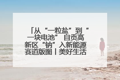 从“一粒盐”到“一块电池” 自贡高新区“钠”入新能源赛道版图丨美好生活有“盐”味