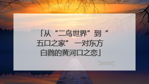 从“二鸟世界”到“五口之家” 一对东方白鹳的黄河口之恋