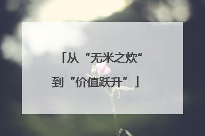从“无米之炊”到“价值跃升”