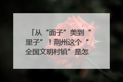 从“面子”美到“里子”！荆州这个“全国文明村镇”是怎样炼成的？