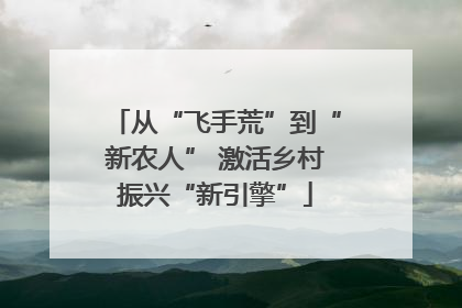 从“飞手荒”到“新农人” 激活乡村振兴“新引擎”