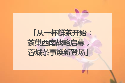 从一杯鲜茶开始：茶巢西南战略启幕，蓉城茶事焕新登场