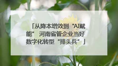 从降本增效到“AI赋能” 河南省管企业当好数字化转型“排头兵”