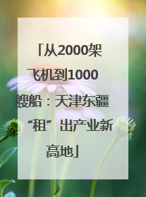 从2000架飞机到1000艘船：天津东疆“租”出产业新高地