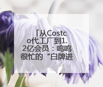 从Costco代工厂到1.2亿会员：鸣鸣很忙的“白牌进化论”做对了什么？