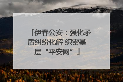伊春公安：强化矛盾纠纷化解 织密基层“平安网”
