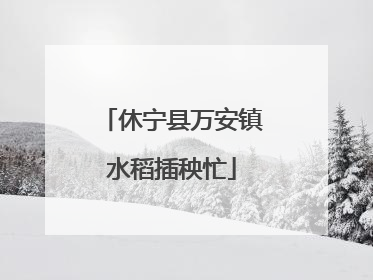 休宁县万安镇水稻插秧忙