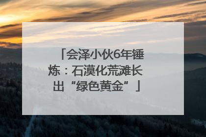 会泽小伙6年锤炼：石漠化荒滩长出“绿色黄金”
